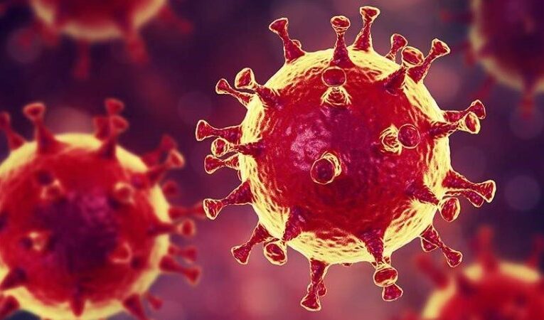 ΕΝΗΜΕΡΩΣΗ ΚΟΙΝΟΥ ΓΙΑ ΝΕΟ ΚΟΡΟΝΟΪΟ COVID-19